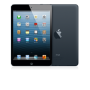iPad mini 16 GB Wi-Fi черный